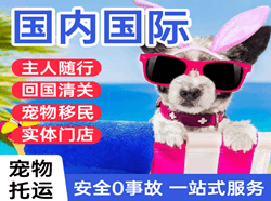 株洲芦淞空运国际宠物托运 【国